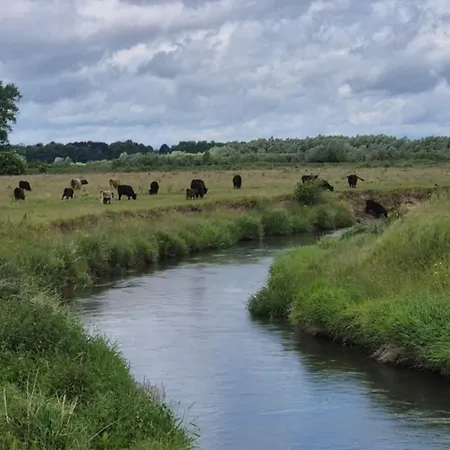 Boerderijwoning Holiday home *