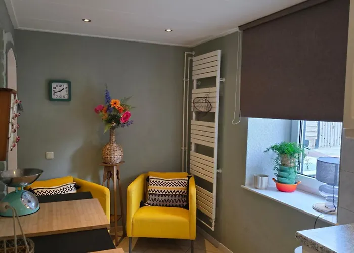 Boerderijwoning בית נופש