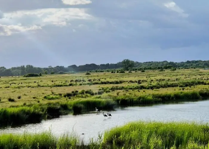 Boerderijwoning * Maastricht