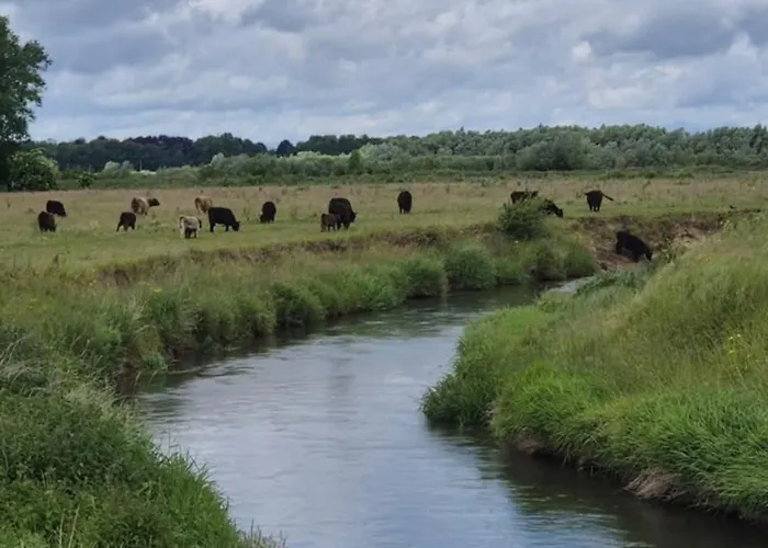 Boerderijwoning Vakantiehuis *